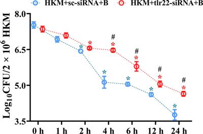 TLR22-Induced Pro-Apoptotic mtROS Abets UPRmt-Mediated Mitochondrial Fission in Aeromonas hydrophila-Infected Headkidney Macrophages of Clarias gariepinus